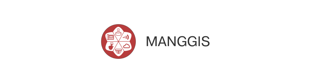 SEO-продвижение интернет-магазина видеонаблюдения Manggis.kz